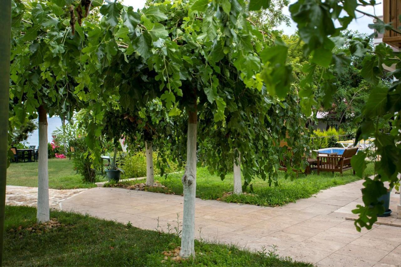 Troas Beach Hotel Tavakli Ngoại thất bức ảnh