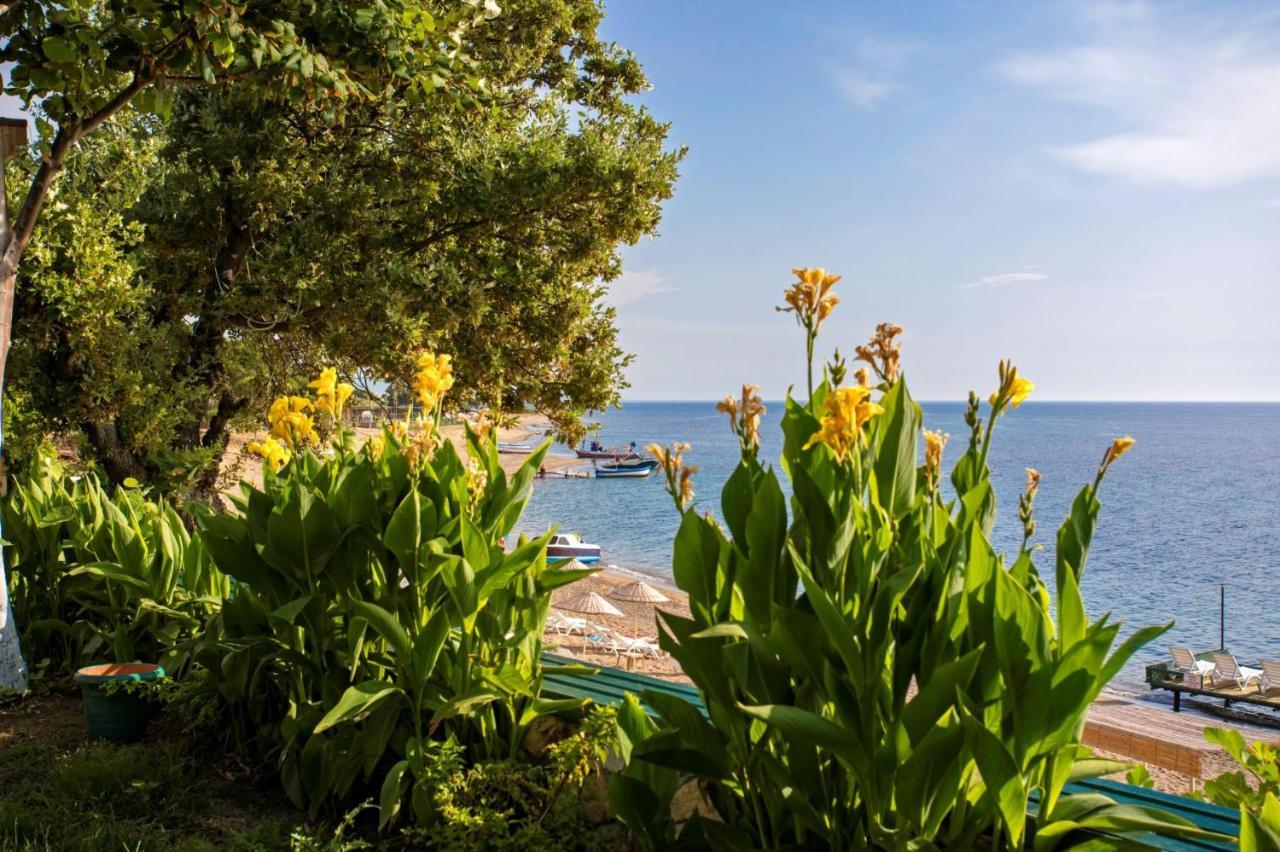 Troas Beach Hotel Tavakli Ngoại thất bức ảnh